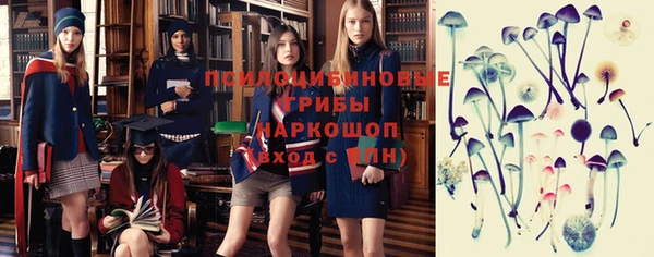 дурь Михайлов